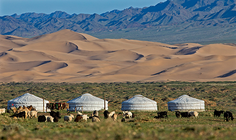 mongolia top travel destination-gobi desert-camel herding family